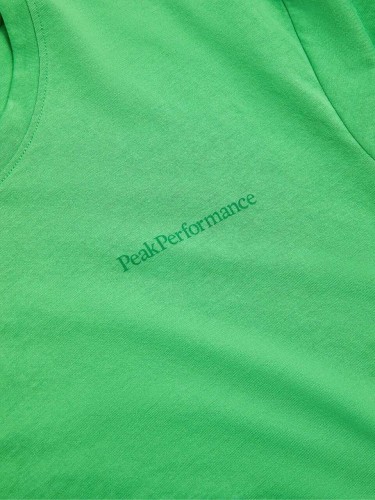G79545070_G03-explore-logo-tee-pappermint