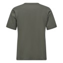 koszulka-meska-salewa-eagle-3cime-faded-green-tyl