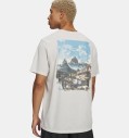 koszulka-meska-under-armour-mountain-photoreal-stone-tyl-grafika