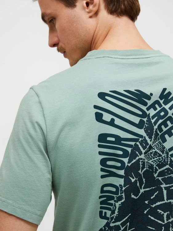 koszulka-meska-peak-performance-original-graphic-green-valley-nadruk