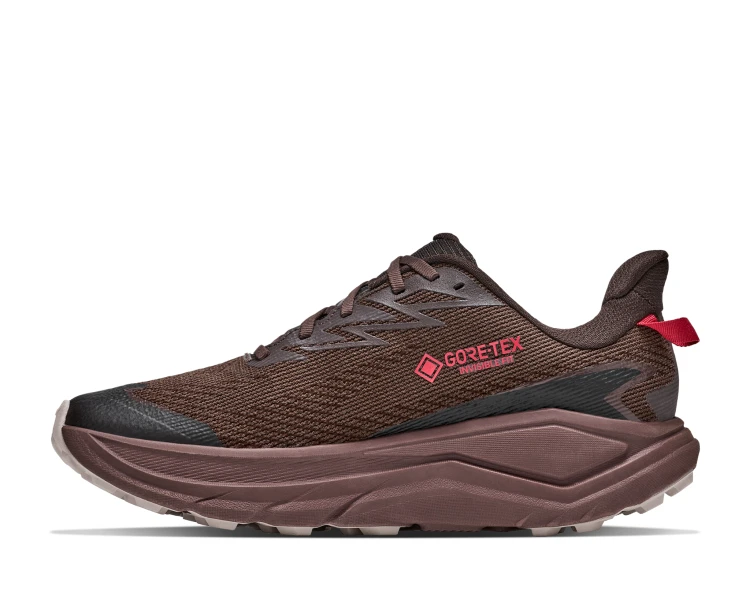 hoka-challenger-8-gtx-spiced-chocolate-cast-iron-1171958-spcd-06.jpg