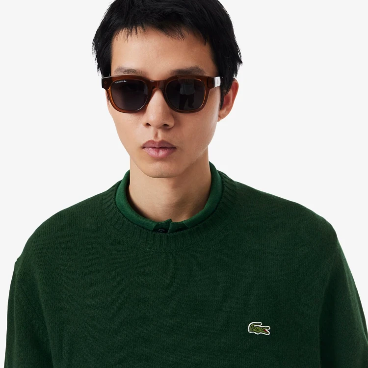 sweter-meski-lacoste-sinople-green-detal-logo-ah2916-00