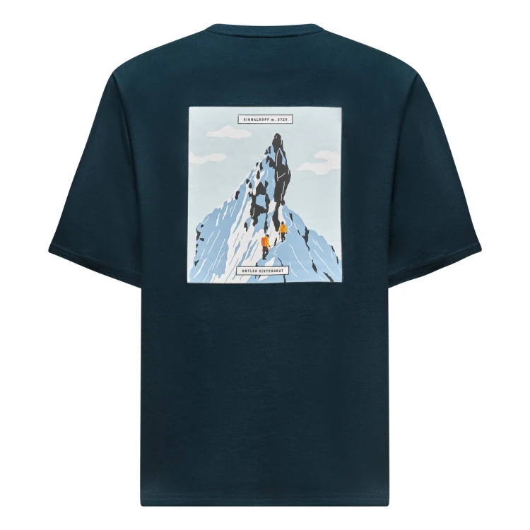 salewa-eagle-2-t-shirt-men-29392-granatowa-nadruk-tyl