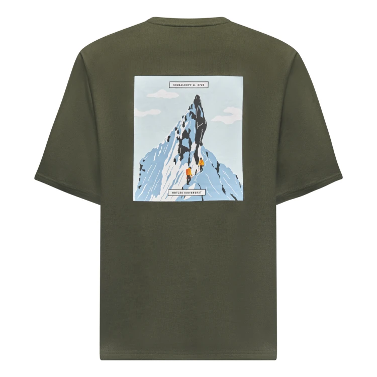 salewa-eagle-2-t-shirt-men-29392-oliwkowa-nadruk-tyl