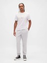 koszulka-meska-gap-original-arch-white-stylizacja-streetwear.jpg