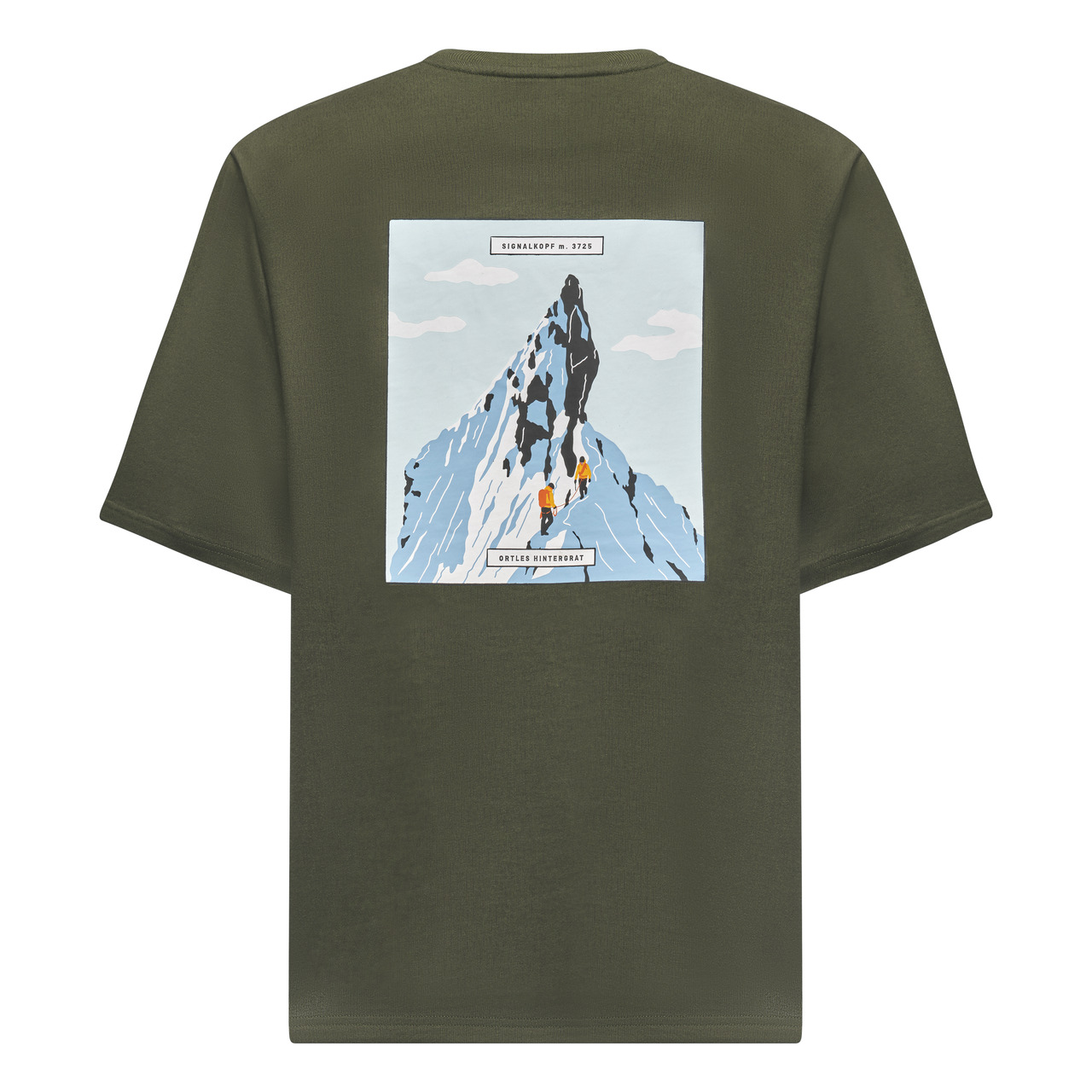Koszulka Męska Salewa Eagle Peak 5A50 Faded Green