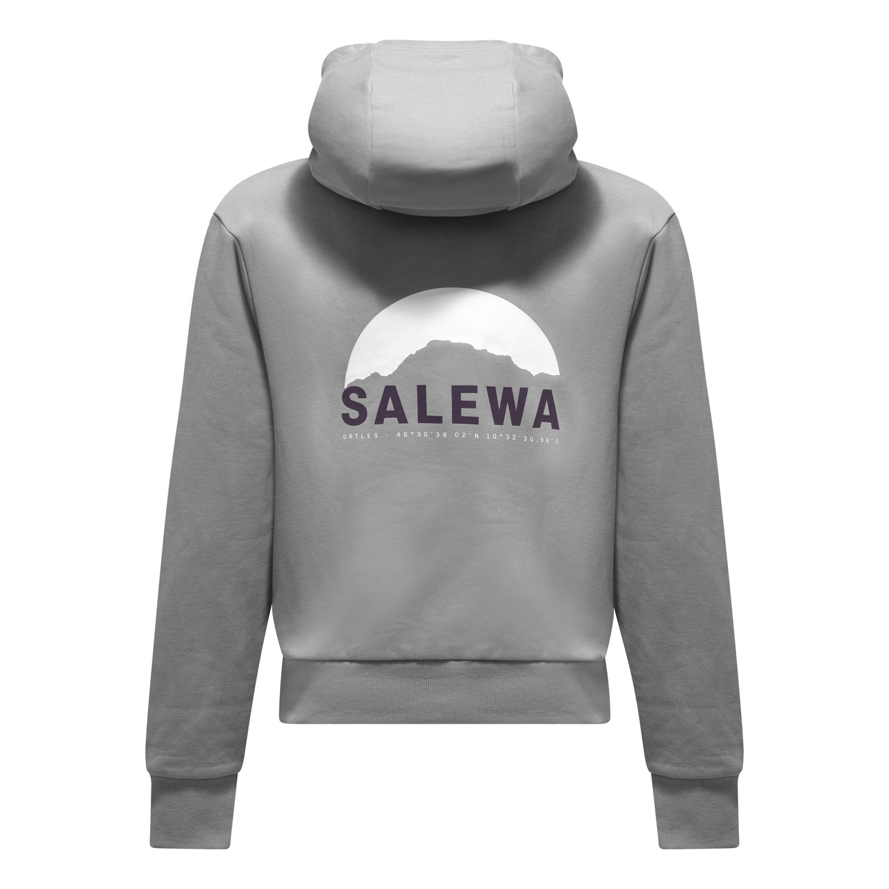 Bluza z kapturem Salewa Eagle Hoodie 0540 Alloy